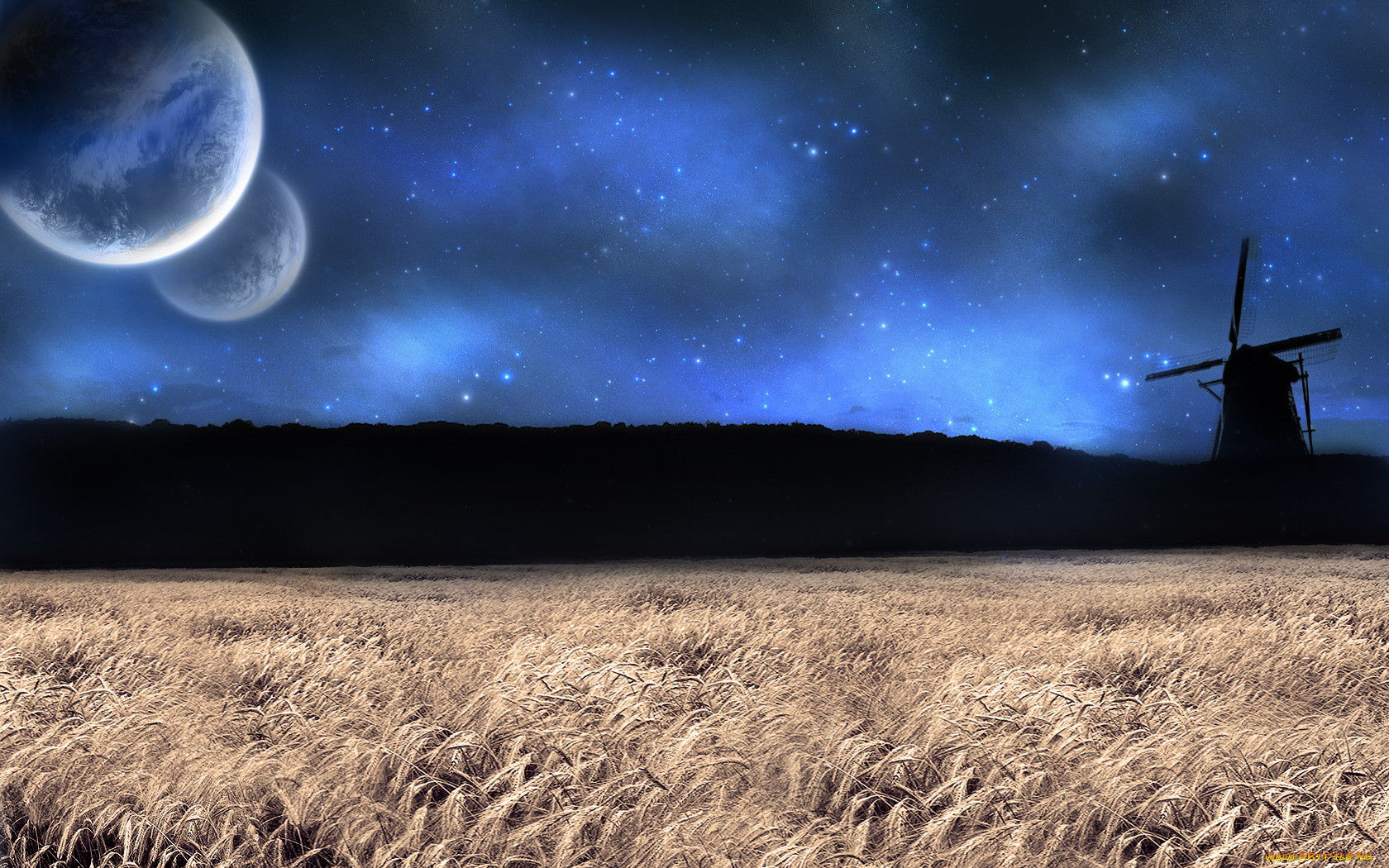 Звездное небо в поле. Ночное поле. Поле ночью. Лунная ночь. Звездная ночь в поле.